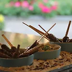 리조트 Labranda Alantur 5*